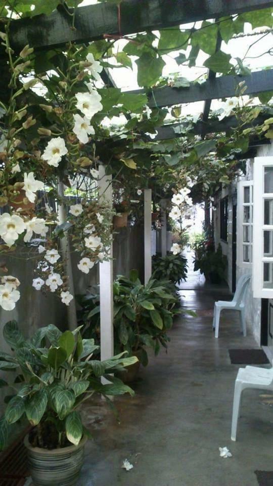Hillview Inn Cameron Highlands Exterior photo